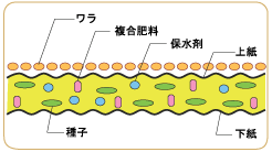 NKワラ芝 ワラ芝断面