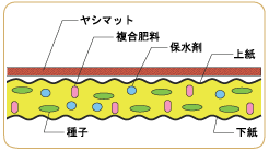 NKヤシネットマット ヤシネット張芝断面