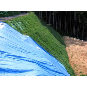 商品画像 (カテゴリーなし) | スーパーマットP50 (肥料袋50cmピッチ 植生マット) | 