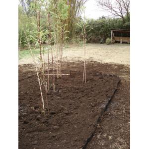 商品画像 (カテゴリーなし) | RCF防根・防竹シート | 