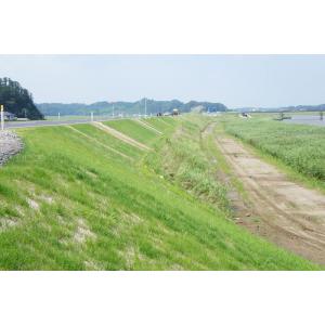 商品画像 (カテゴリーなし) | グリーンエース (植生シート 標準品) | 