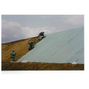 商品画像 (カテゴリーなし) | グリーンエース (植生シート 標準品) | 