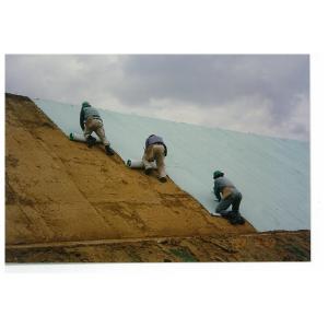 商品画像 (カテゴリーなし) | グリーンエース (植生シート 標準品) | 