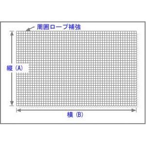 商品画像 多目的ネット | 多目的ネット(野球用ネット) 37.5mm角目PE440dtex/44本  無結節 | 