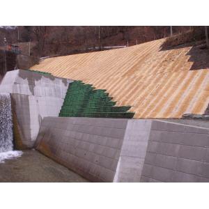 商品画像 (カテゴリーなし) | 草植ワラ芝 | 