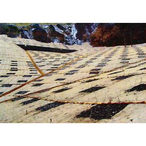 商品画像 (カテゴリーなし) | 植生炭シートS (生分解性) | 